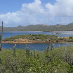 Bonaire National Marine Park - Kralendijk