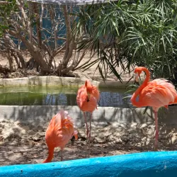 Donkey Sanctuary Bonaire - Kralendijk
