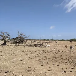 Donkey Sanctuary Bonaire - Kralendijk