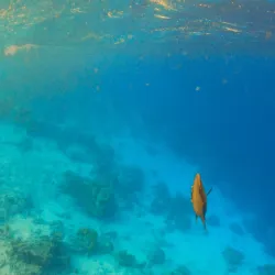 Kralendijk Waterfront - Kralendijk