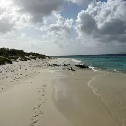 Kralendijk Waterfront - Kralendijk