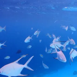 Kralendijk Waterfront - Kralendijk