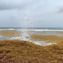 Lac Bay - Kralendijk