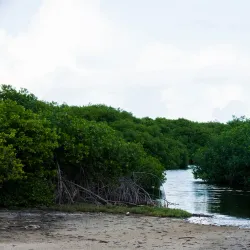 Lac Bay - Kralendijk