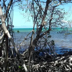 Lac Bay - Kralendijk