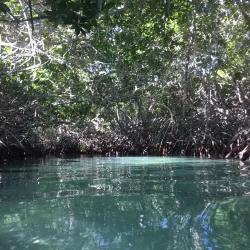 Lac Bay - Kralendijk