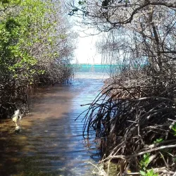 Lac Bay - Kralendijk