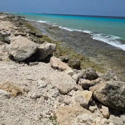 Salt Pier - Kralendijk