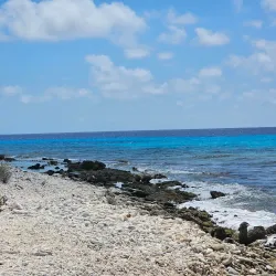 Slave Huts - Kralendijk