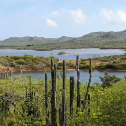 Washington Slagbaai National Park - Kralendijk
