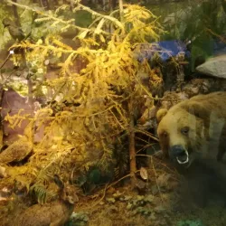 Museum of Republika Srpska - Banja Luka