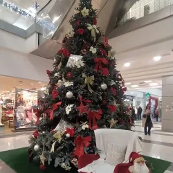 Bijeljina City Museum - Bijeljina