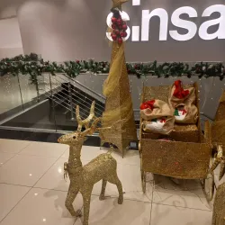 Bijeljina City Museum - Bijeljina