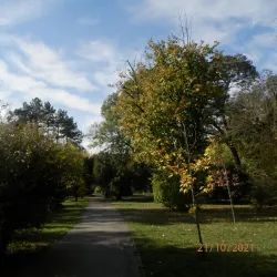 Bijeljina City Park - Bijeljina