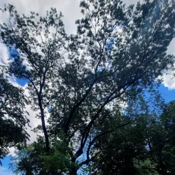 Bijeljina City Park - Bijeljina