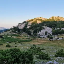 Church of St. Elijah - Bijeljina