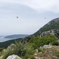 Church of St. Elijah - Bijeljina