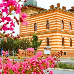 Gradska Dvorana Brčko (City Hall) - Brcko