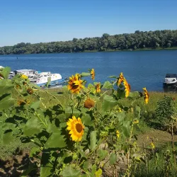 Sava River Promenade - Brcko