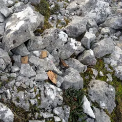 Archaeological Site of Daorson - Capljina