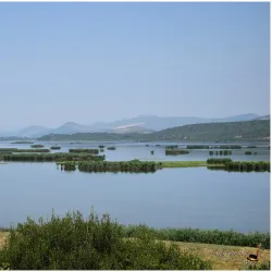 Capljina Town Park - Capljina