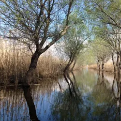 Hutovo Blato Nature Park - Capljina