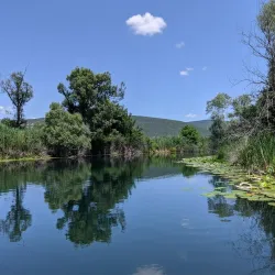 Lake Hutovo Blato - Capljina