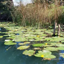 Lake Hutovo Blato - Capljina