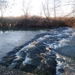 Bosna River - Derventa