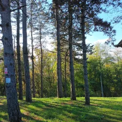 Derventa Museum - Derventa