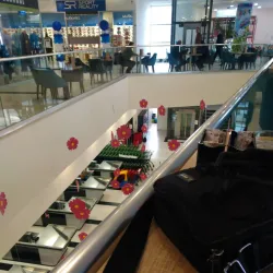 Local Market - Derventa