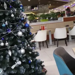 Local Market - Derventa