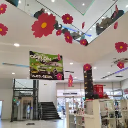 Local Market - Derventa