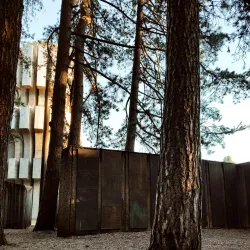 Surrounding Forest Trails - Derventa