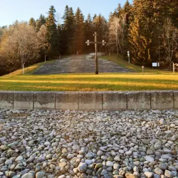 Surrounding Forest Trails - Derventa