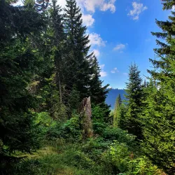 Mount Vranica - Fojnica