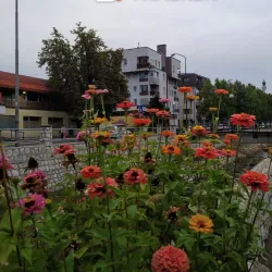 Gracanica Old Town - Gracanica