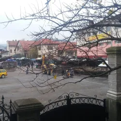 Local Markets - Gracanica