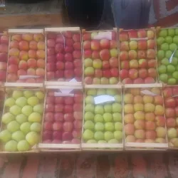 Ethno Village Gradiska - Gradiska