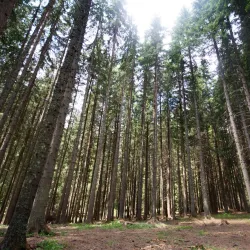 Bijambare Caves - Istočno Sarajevo