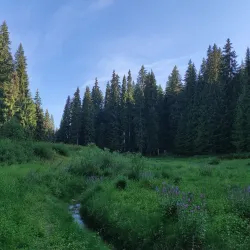 Bijambare Caves - Istočno Sarajevo