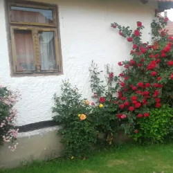 Church of the Holy Apostles Peter and Paul - Istočno Sarajevo
