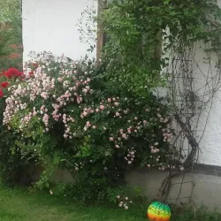 Church of the Holy Apostles Peter and Paul - Istočno Sarajevo