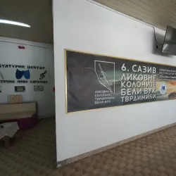 Istočno Sarajevo Cultural Center - Istočno Sarajevo