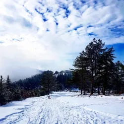 Trebević Mountain - Istočno Sarajevo