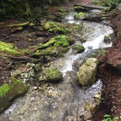 Trnovo - Istočno Sarajevo