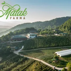 Vrtlište Park - Kakanj