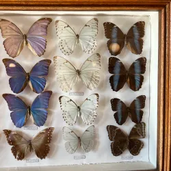 Ethnographic Museum (near Kiseljak) - Kiseljak