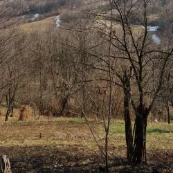 Majevica Mountain - Lukavac