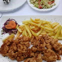 Local Cuisine Restaurants - Maglaj